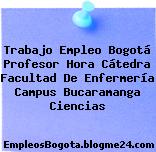 Trabajo Empleo Bogotá Profesor Hora Cátedra Facultad De Enfermería Campus Bucaramanga Ciencias