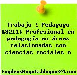 Trabajo : Pedagogo &8211; Profesional en pedagogía en áreas relacionadas con ciencias sociales o