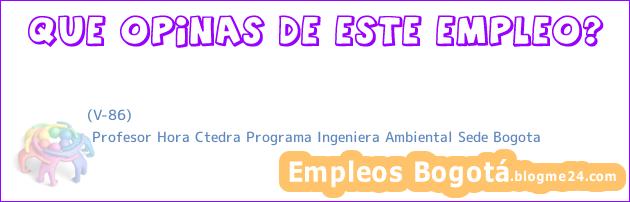 (V-86) | Profesor Hora Ctedra Programa Ingeniera Ambiental Sede Bogota