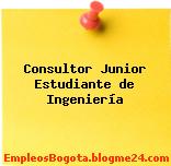 Consultor Junior Estudiante de Ingeniería