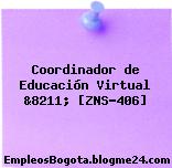 Coordinador de Educación Virtual &8211; [ZNS-406]