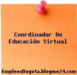 Coordinador de Educación Virtual