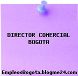 DIRECTOR COMERCIAL BOGOTA