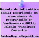 Docente de informática &8211; Experiencia en la enseñanza de programación en Cundinamarca &8211; Colegio Principado Campestre