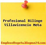 Profesional Bilinge Villavicencio Meta