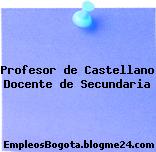 Profesor de Castellano Docente de Secundaria