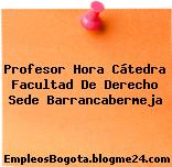Profesor Hora Cátedra Facultad De Derecho Sede Barrancabermeja