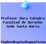 Profesor Hora Catedra Facultad de Derecho Sede Santa Marta