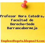 Profesor Hora Catedra, Facultad de Derecho-Sede Barrancabermeja