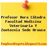 Profesor Hora Cátedra Facultad Medicina Veterinaria Y Zootecnia Sede Arauca