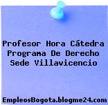 Profesor Hora Cátedra Programa De Derecho Sede Villavicencio