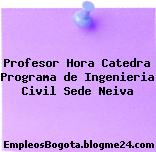 Profesor Hora Catedra Programa de Ingenieria Civil Sede Neiva