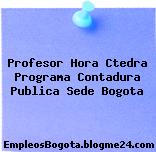 Profesor Hora Ctedra Programa Contadura Publica Sede Bogota