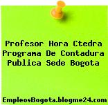 Profesor Hora Ctedra Programa De Contadura Publica Sede Bogota