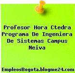 Profesor Hora Ctedra Programa De Ingeniera De Sistemas Campus Neiva