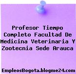 Profesor Tiempo Completo Facultad De Medicina Veterinaria Y Zootecnia Sede Arauca