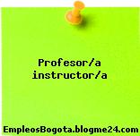 Profesor/a instructor/a