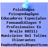 Psicólogos Psicopedagógos Educadores Especiales Fonoaudiólogos Y Profesionales En Braile &8211; Municipios Del Tolima Itinerantes