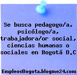 Se busca pedagogo/a, psicólogo/a, trabajadora/or social, ciencias humanas o sociales en Bogotá D.C