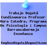 Trabajo Bogotá Cundinamarca Profesor Hora Catedra, Programa De Psicología : Campus Barrancabermeja Enseñanza