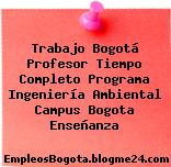Trabajo Bogotá Profesor Tiempo Completo Programa Ingeniería Ambiental Campus Bogota Enseñanza