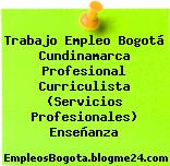 Trabajo Empleo Bogotá Cundinamarca Profesional Curriculista (Servicios Profesionales) Enseñanza