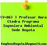 (V-86) | Profesor Hora Ctedra Programa Ingeniera Ambiental Sede Bogota