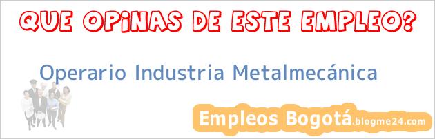 Operario Industria Metalmecánica
