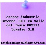 asesor industria Interno CALI en Valle del Cauca &8211; Sumatec S.A