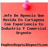 Jefe De Agencia Que Resida En Cartagena Con Experiencia En Industria Y Comercial Urgente