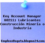 Key Account Manager &8211; Lubricantes Construcción Minería o Industria