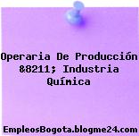 Operaria De Producción &8211; Industria Química