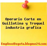 Operario Corte en Guillotina y Troquel industria grafica