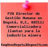P28 Director de Gestión Humana en Bogotá, D.C. &8211; Comercializadora llantas para la industria minera