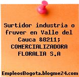 Surtidor industria o fruver en Valle del Cauca &8211; COMERCIALIZADORA FLORALIA S.A