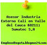 Asesor Industria Externo Cali en Valle del Cauca &8211; Sumatec S.A