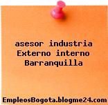 asesor industria Externo interno Barranquilla
