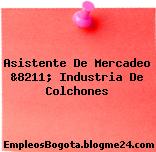 Asistente De Mercadeo &8211; Industria De Colchones