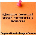 Ejecutivo Comercial Sector Ferreteria E Industria