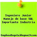 Ingeniero Junior Manejo de base SQL Importante Industria