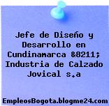 Jefe de Diseño y Desarrollo en Cundinamarca &8211; Industria de Calzado Jovical s.a