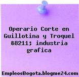 Operario Corte en Guillotina y Troquel &8211; industria grafica