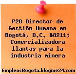 P28 Director de Gestión Humana en Bogotá, D.C. &8211; Comercializadora llantas para la industria minera