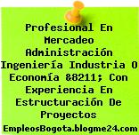 Profesional En Mercadeo Administración Ingeniería Industria O Economía &8211; Con Experiencia En Estructuración De Proyectos