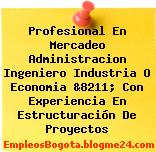 Profesional En Mercadeo Administracion Ingeniero Industria O Economia &8211; Con Experiencia En Estructuración De Proyectos