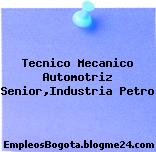 Tecnico Mecanico Automotriz Senior,Industria Petro