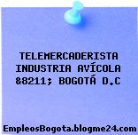 TELEMERCADERISTA INDUSTRIA AVÍCOLA &8211; BOGOTÁ D.C