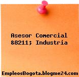Asesor Comercial &8211; Industria