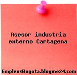Asesor industria externo Cartagena