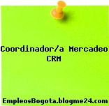 Coordinador/a Mercadeo CRM